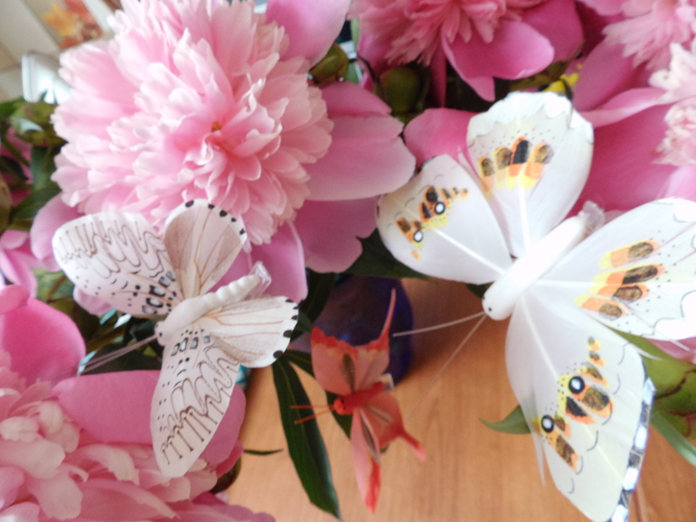 Бабочки-Красавицы