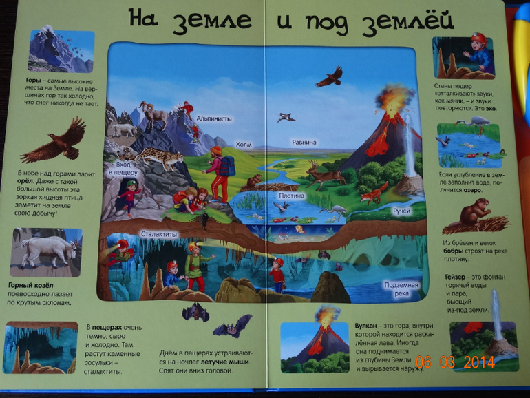 100 волшебных звуков планеты