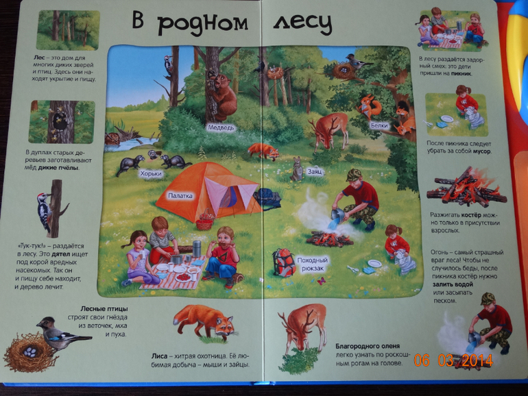 100 волшебных звуков планеты