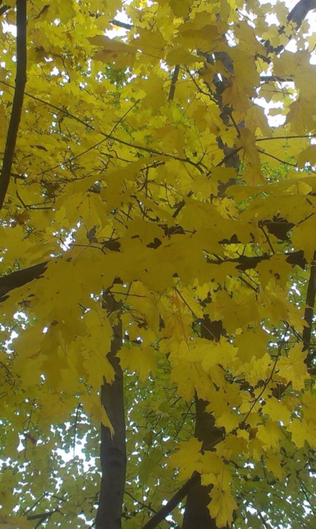 а на улице оказалось неожиданно тепло