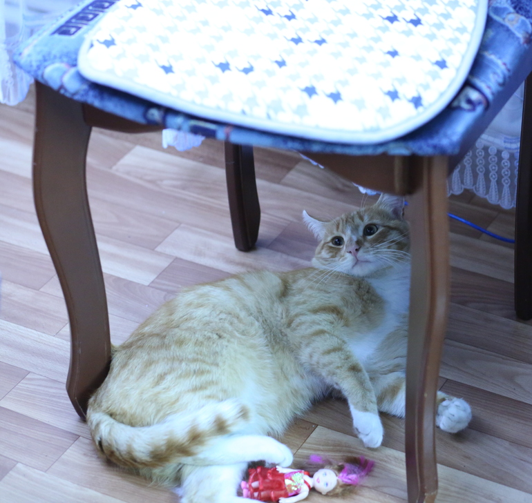 На выходных у бабушки)