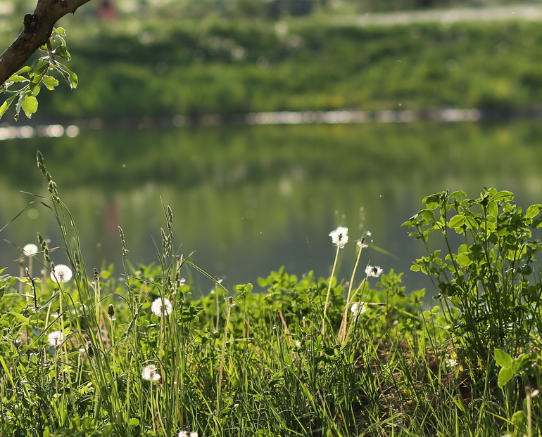 Этомир - наше мини путешествие_часть общая