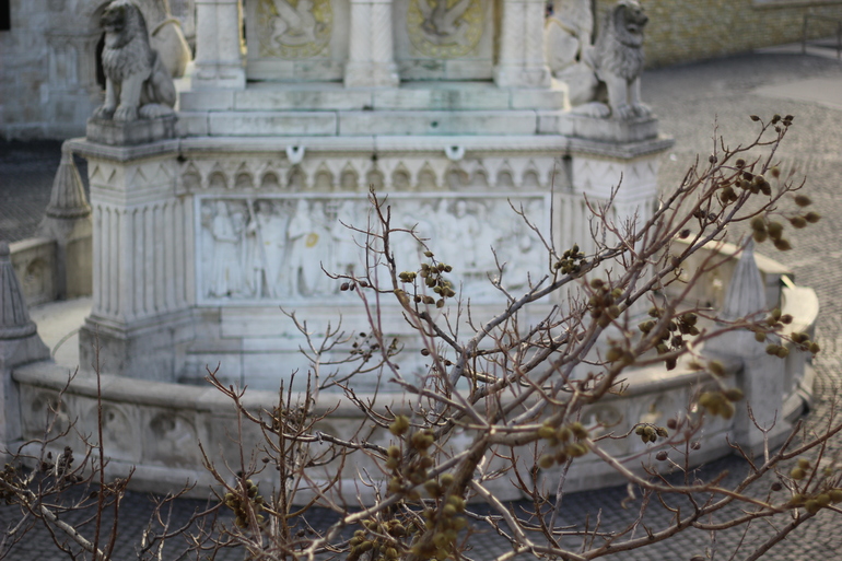 Будапешт финальное, в основном, портретное)