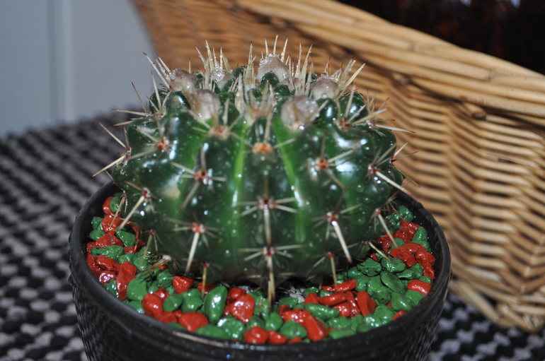 Обновочки:)