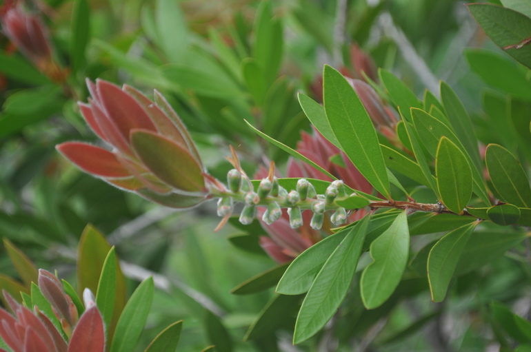 Для хорошего настроения:)