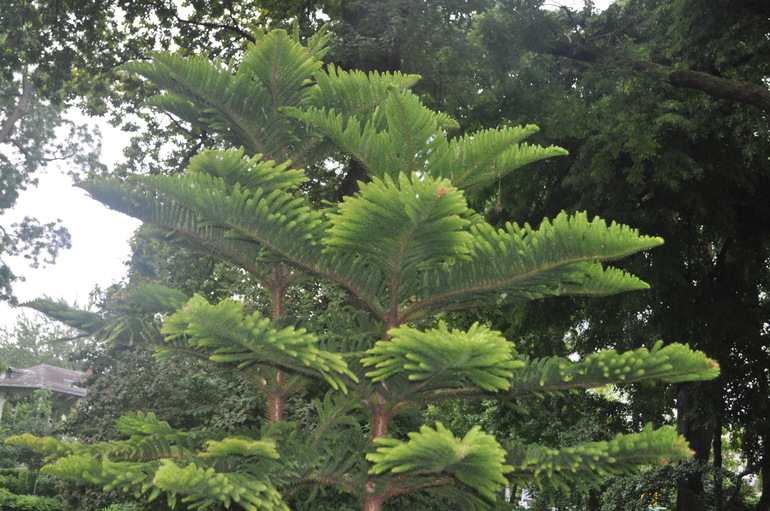 Для хорошего настроения:)