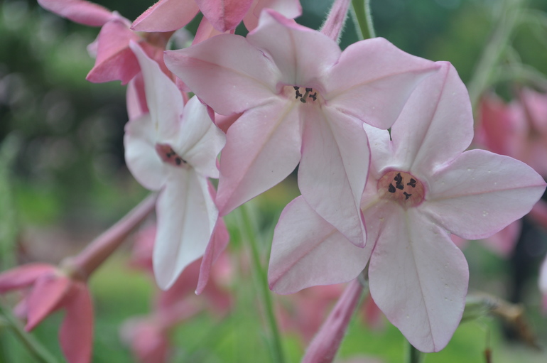 Для хорошего настроения:)