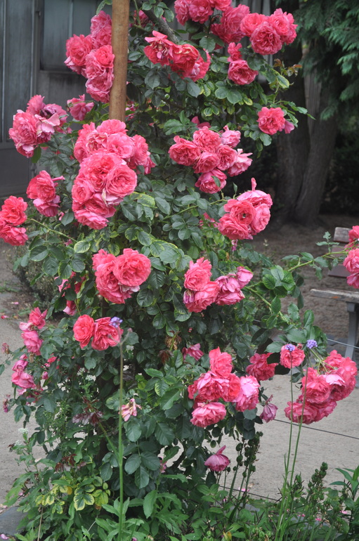 Для хорошего настроения:)