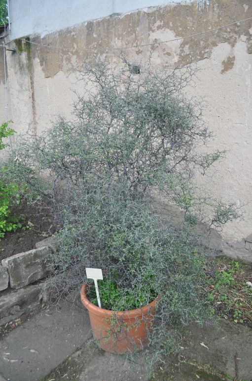 Для хорошего настроения:)