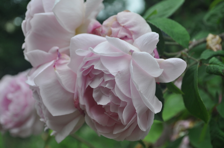 Для хорошего настроения:)