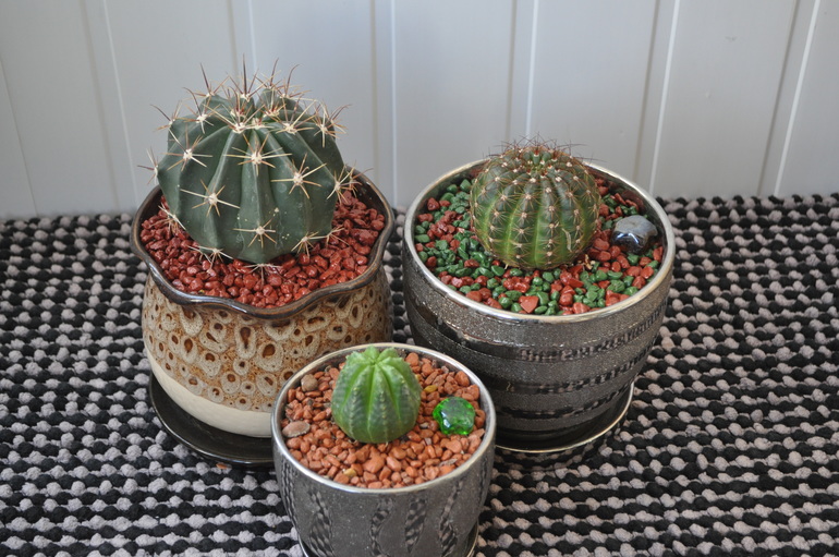 Что мы имеем на сегодняшний день:)