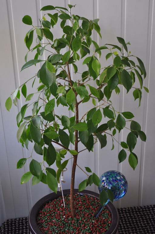 Что мы имеем на сегодняшний день:)