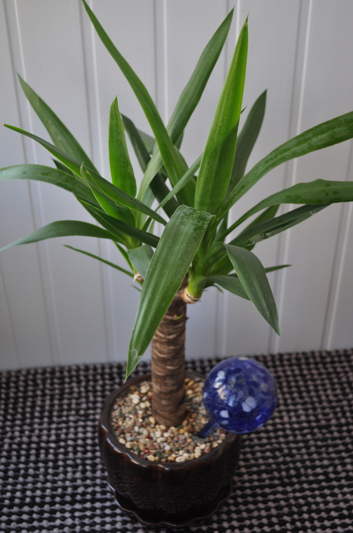 Что мы имеем на сегодняшний день:)