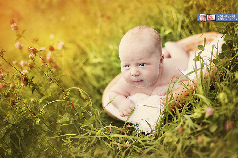 Мобилография. Продолжение)