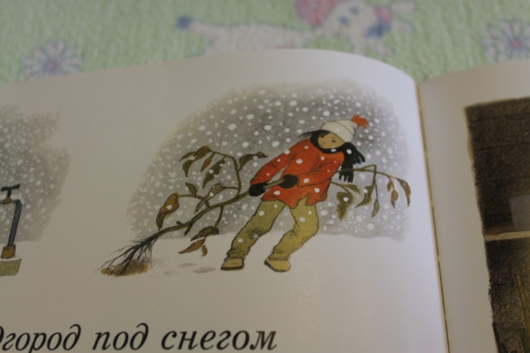 Как растут овощи!
