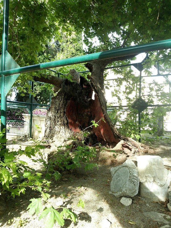 Как мы провели майские праздники на о. Кос (сто фото)) осторожно!)