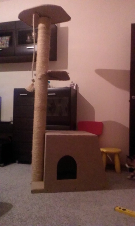 Когтеточка)))