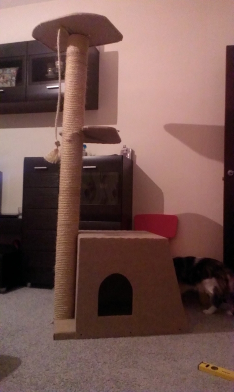 Когтеточка)))