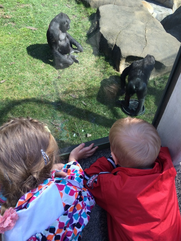 Христос Воскресе!!!