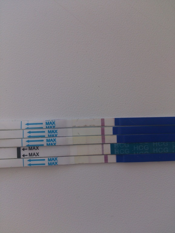 это все -таки оно?