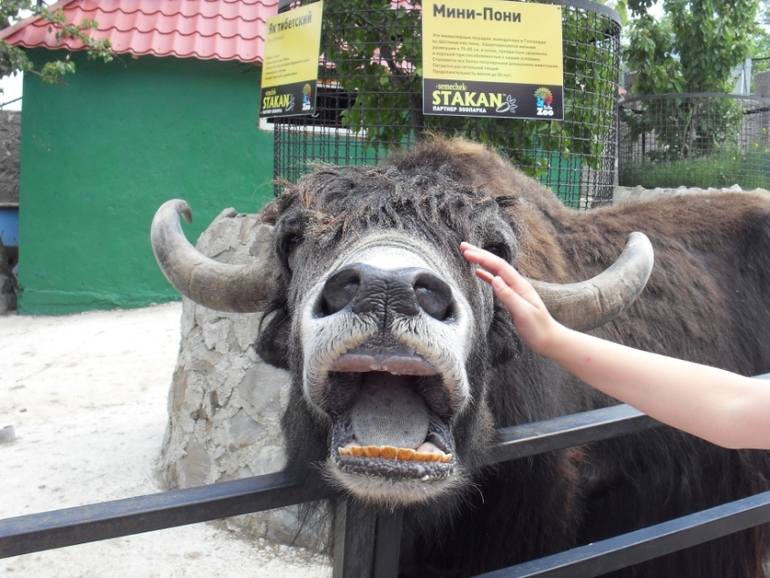 Крым моими глазами (семейные фото)