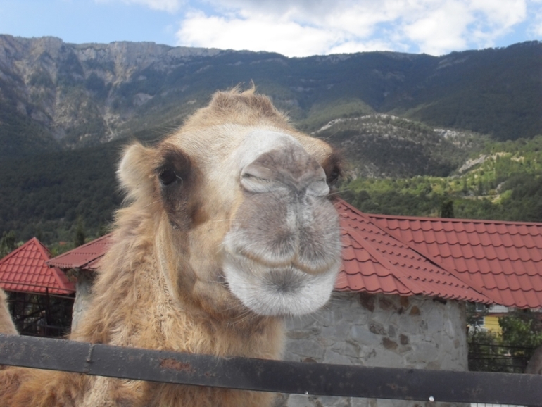 Крым моими глазами (семейные фото)