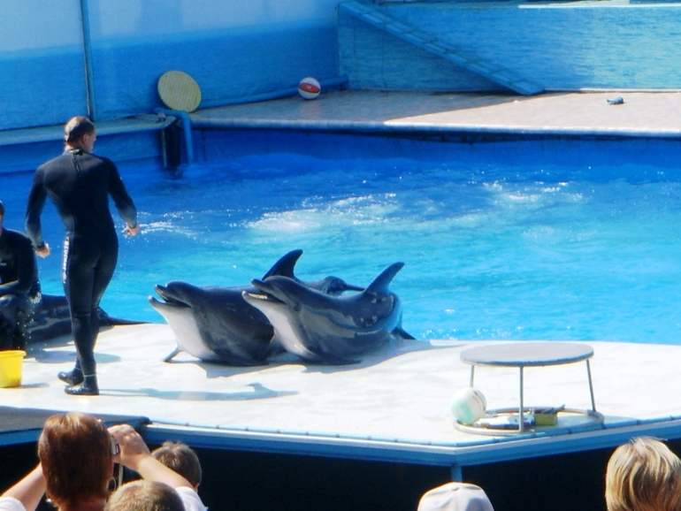 Крым моими глазами (семейные фото)