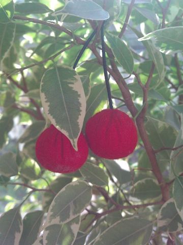 Еда из фетра  + еще новые фото