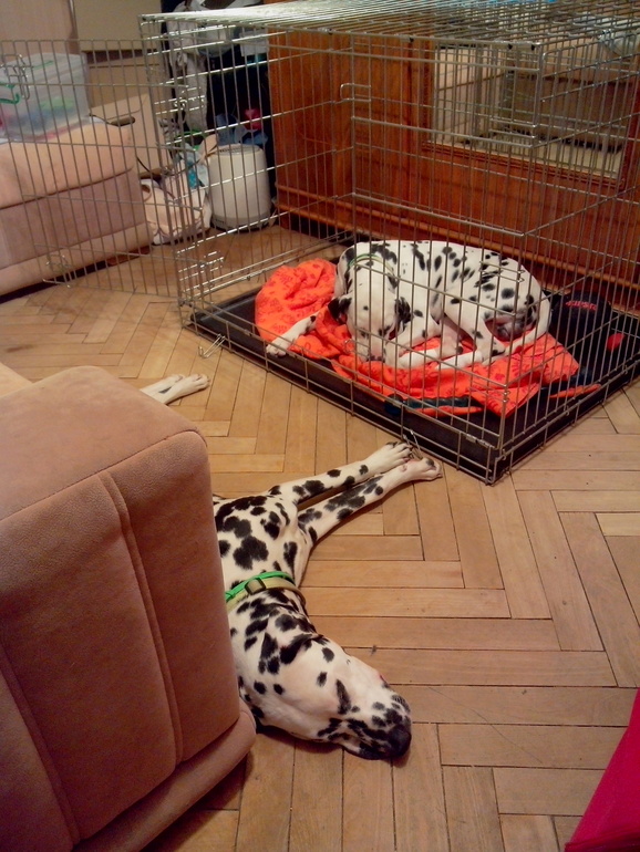 ...и что они сделали со своей свободой? - стали рабами... (с)