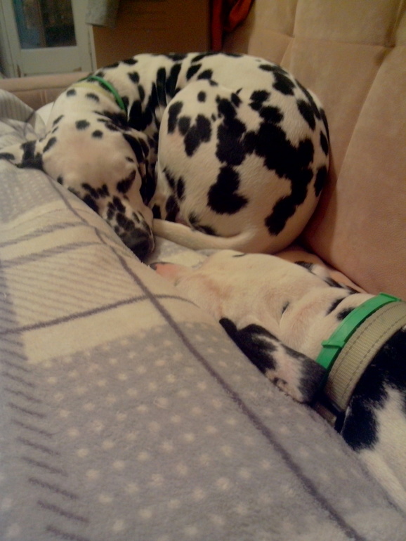 ...и что они сделали со своей свободой? - стали рабами... (с)