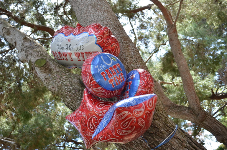 Ковбойский День Рождения наших Солнышек!!! 4 года