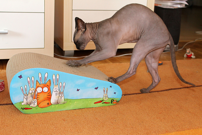 Когтеточка.