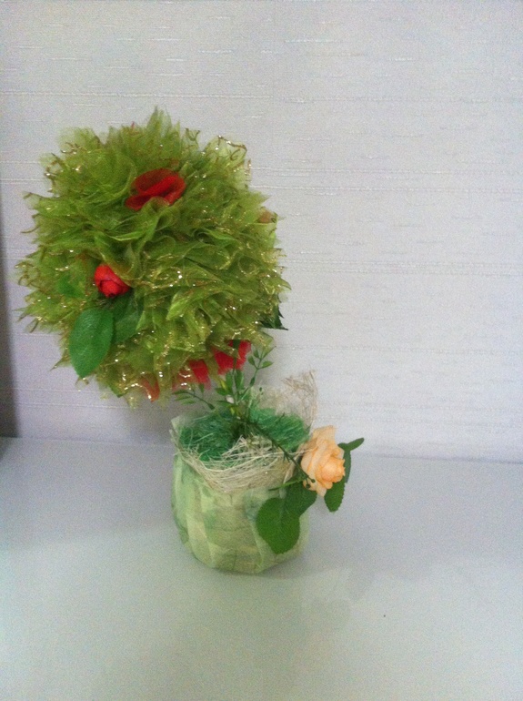 Топиарий-мой первенец