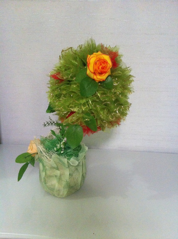 Топиарий-мой первенец