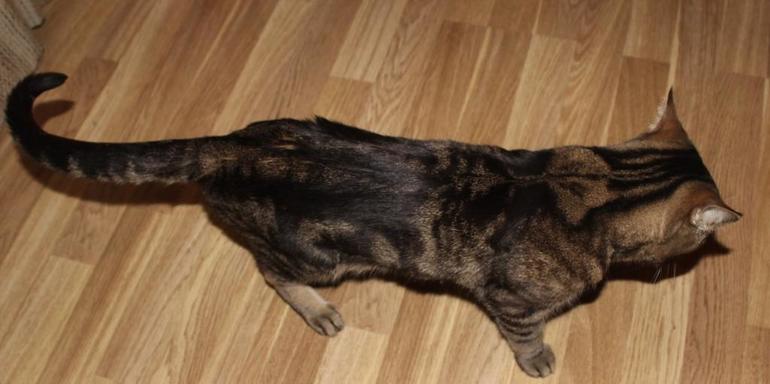 Плохо ест, недобор веса!