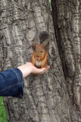 Выставка в ЦДХ.
