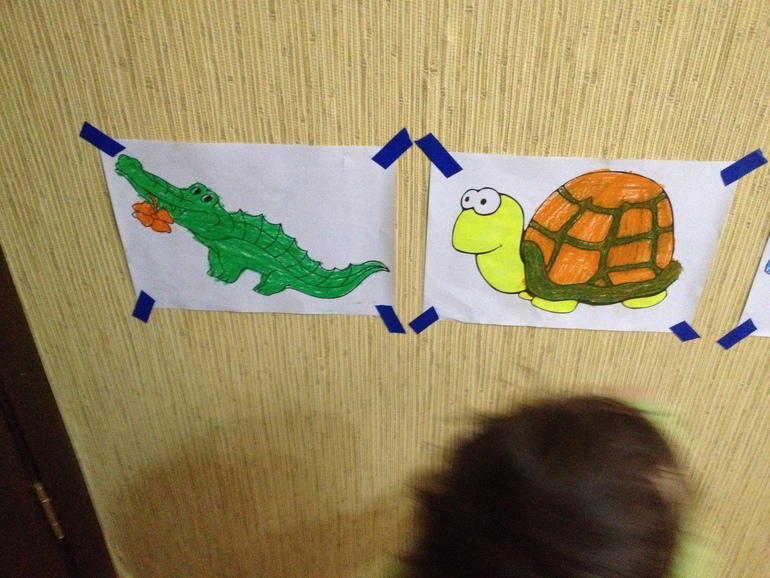 ТЗ Крокодил