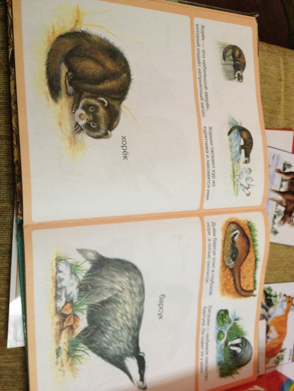 ТЗ Дикие животные