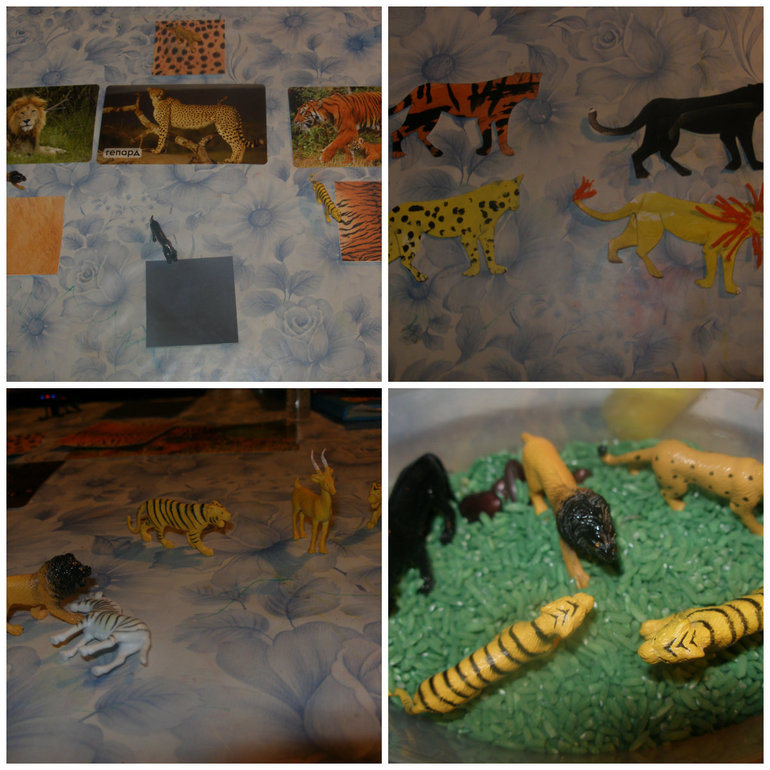 ТН Дикие кошки