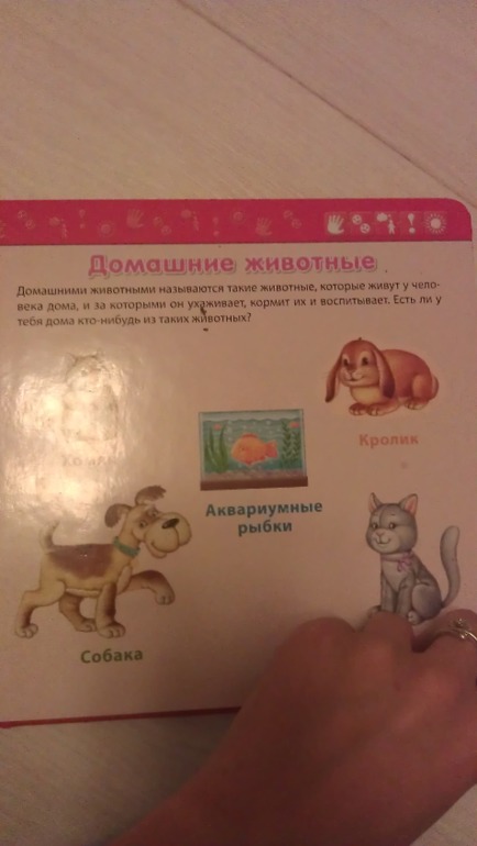 наша мини библиотека