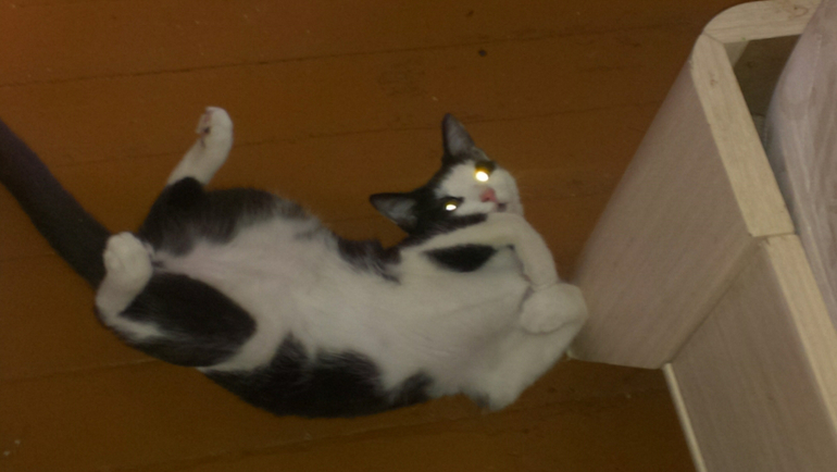 не ну эта наглость