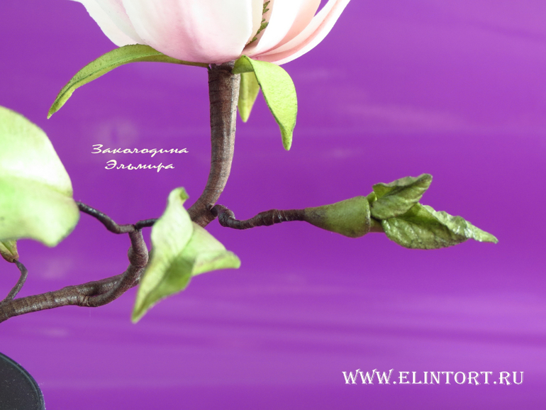 Мои Цветы со второго курса Олеси Голумбевской.