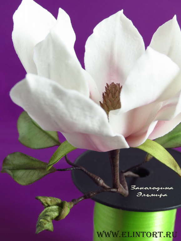 Мои Цветы со второго курса Олеси Голумбевской.