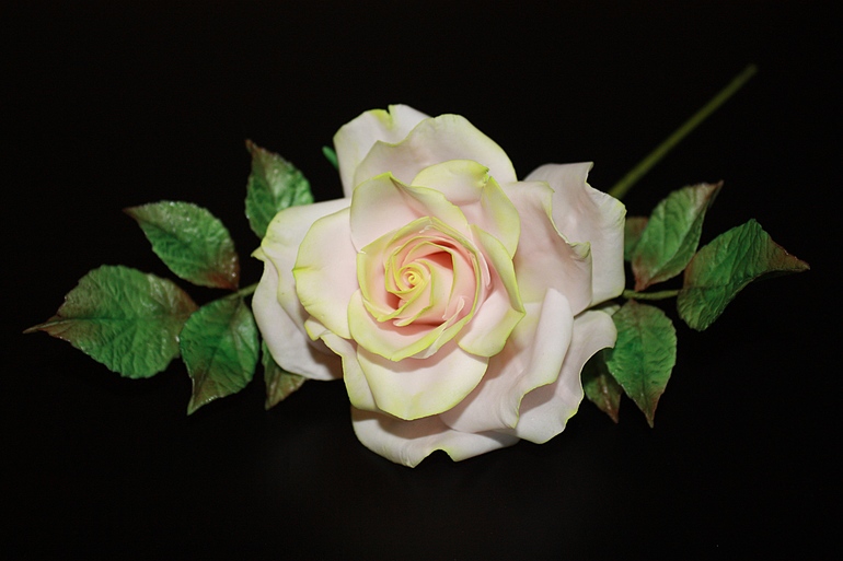 Роза с курсов Жанны Рябковой!