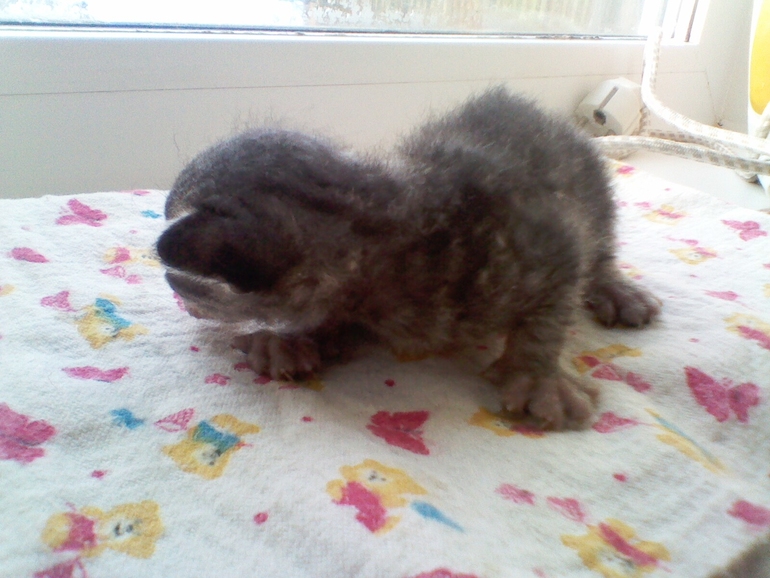 Мои малыши.