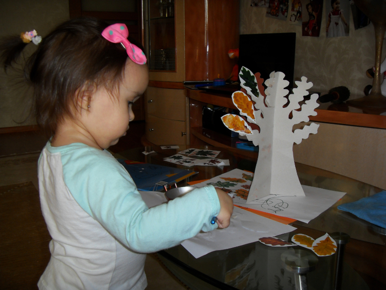 Наш первый Отчет ТЗ