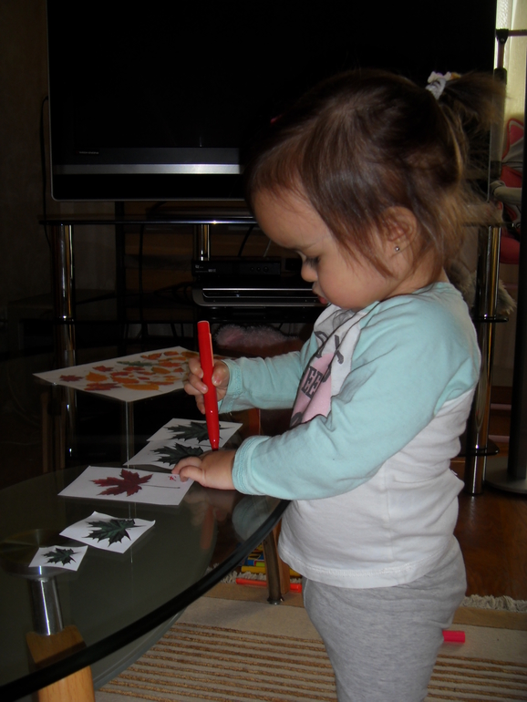 Наш первый Отчет ТЗ