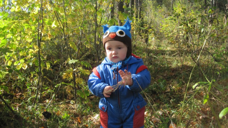 Наша осень....