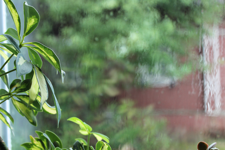 Такое разное лето((((