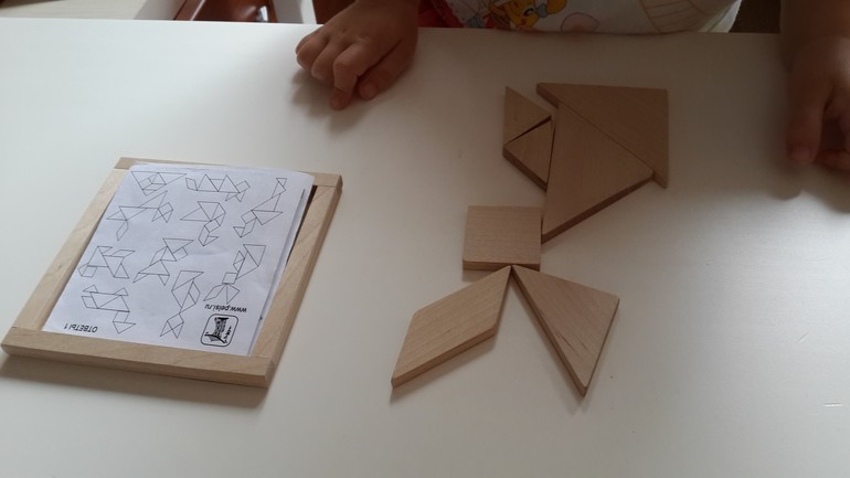 ТЗ Цветное безобразие (Шичида)